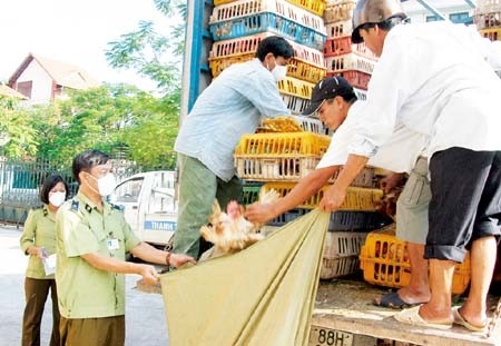 เวียดนามผลักดันการรับมือกับการแพร่ระบาดของโรคไข้หวัดนกสายพันธุ์ใหม่ H7N9 - ảnh 1